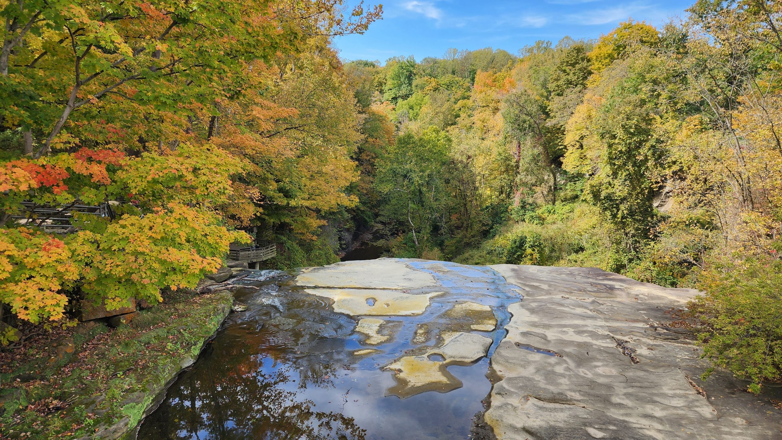 Autumn trees and gorge rim above Brandywine Falls