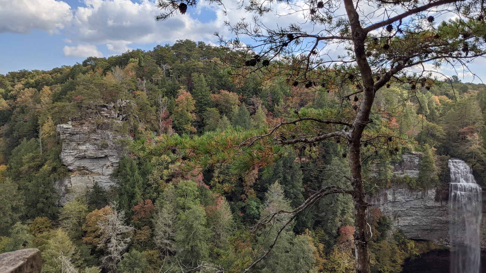 Main falls dropping past autumn trees and cliff walls deep into the gorge.