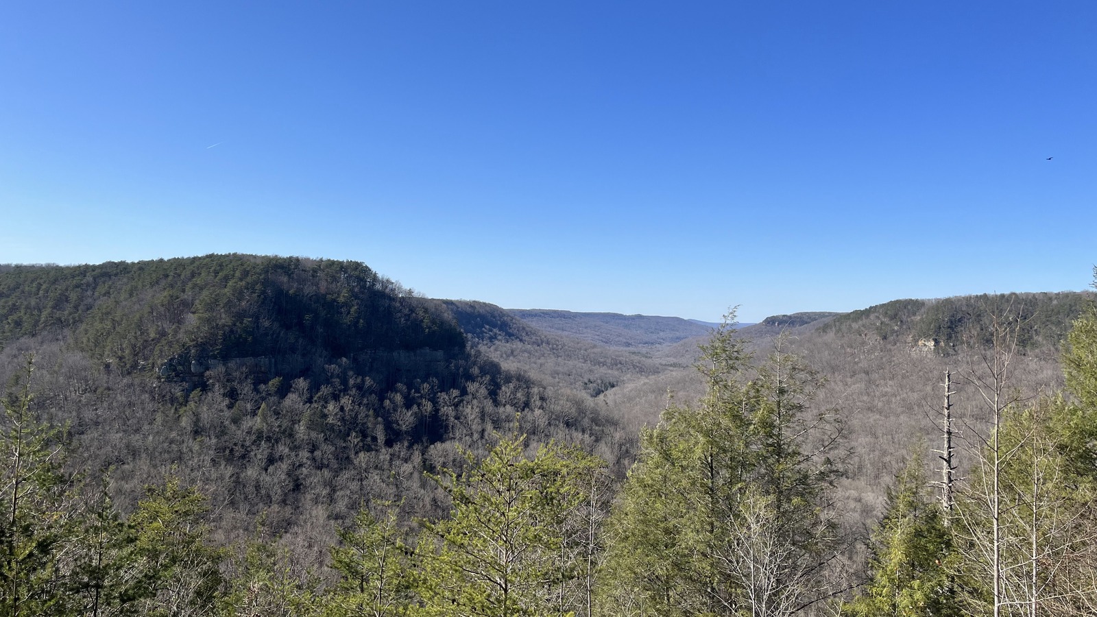 Long ridge view stretching across the Cumberland Plateau in clear light.