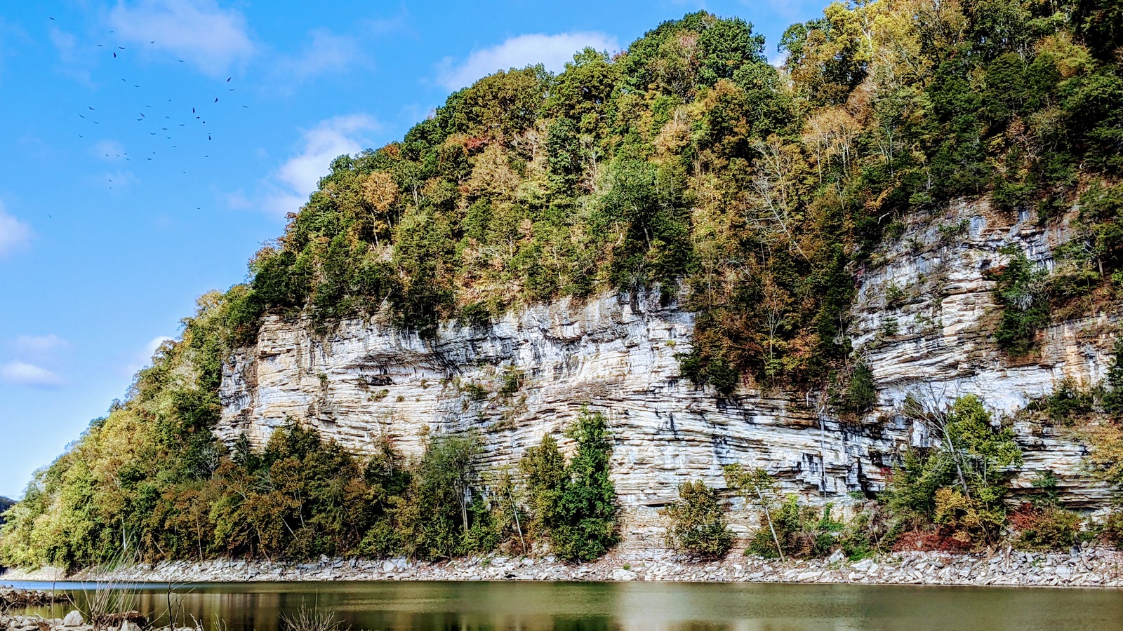 Tall limestone bluff rising above calm water at Rock Island State Park.