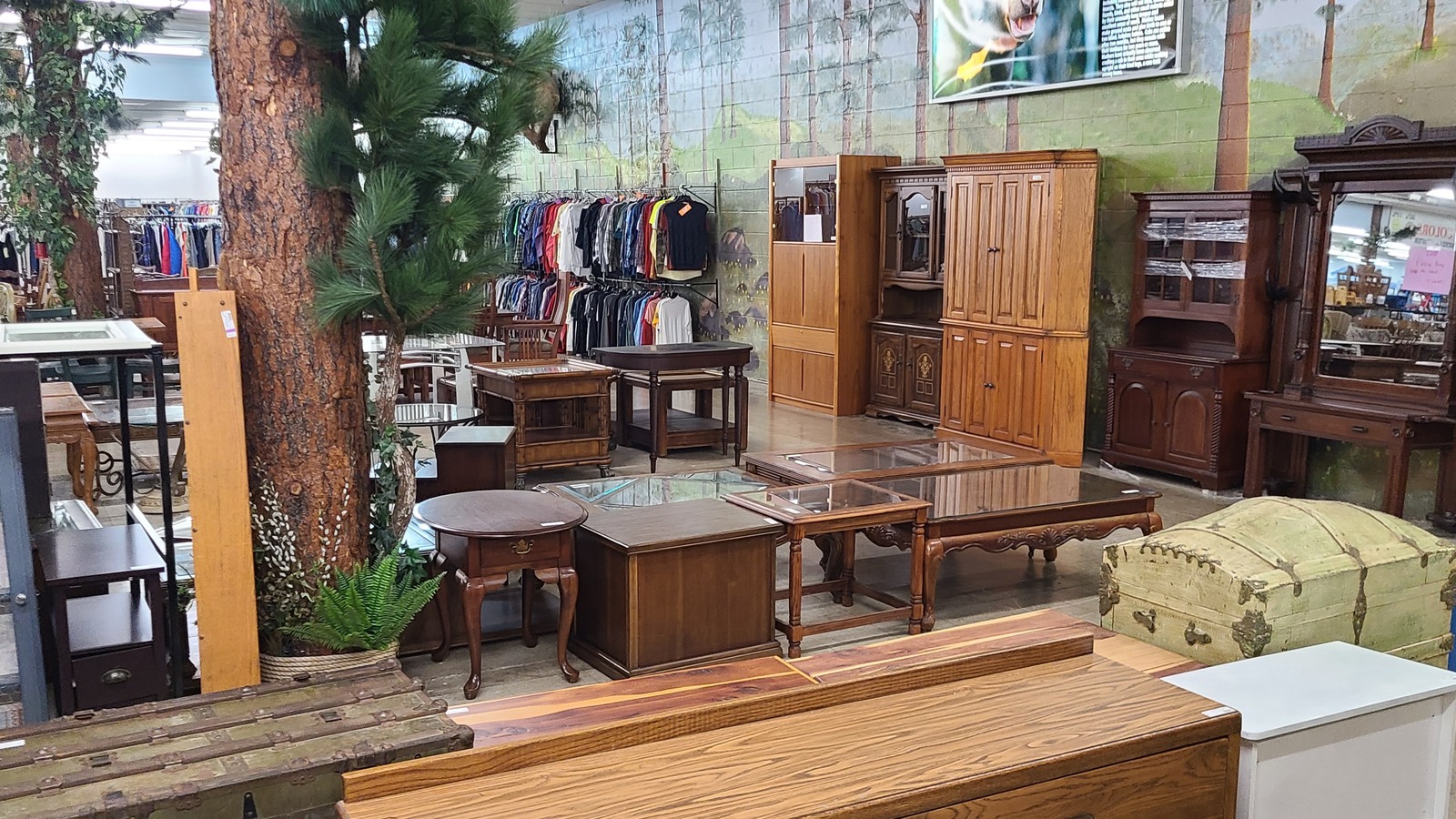 4 Best Thrift Stores in Camdenton, Missouri
