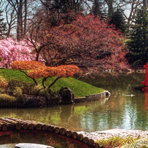 Brooklyn Botanic Garden