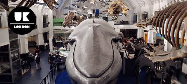 Natural History Museum