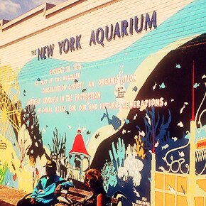 New York Aquarium