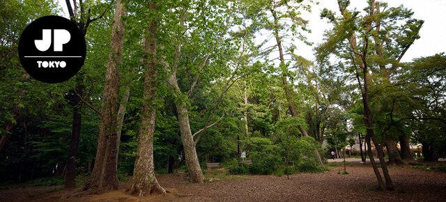Rinshi No Mori Park
